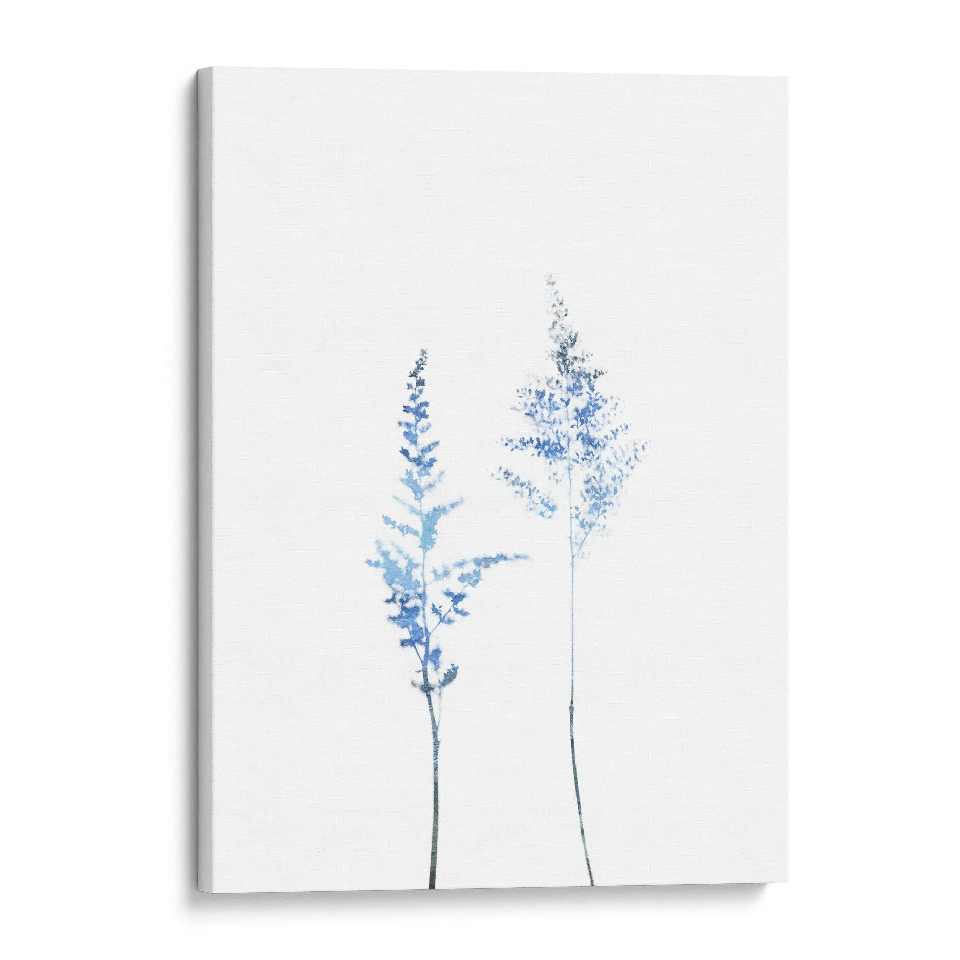 Blue Wildflower