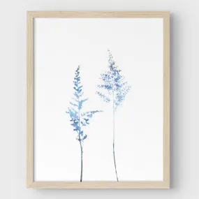 Blue Wildflower