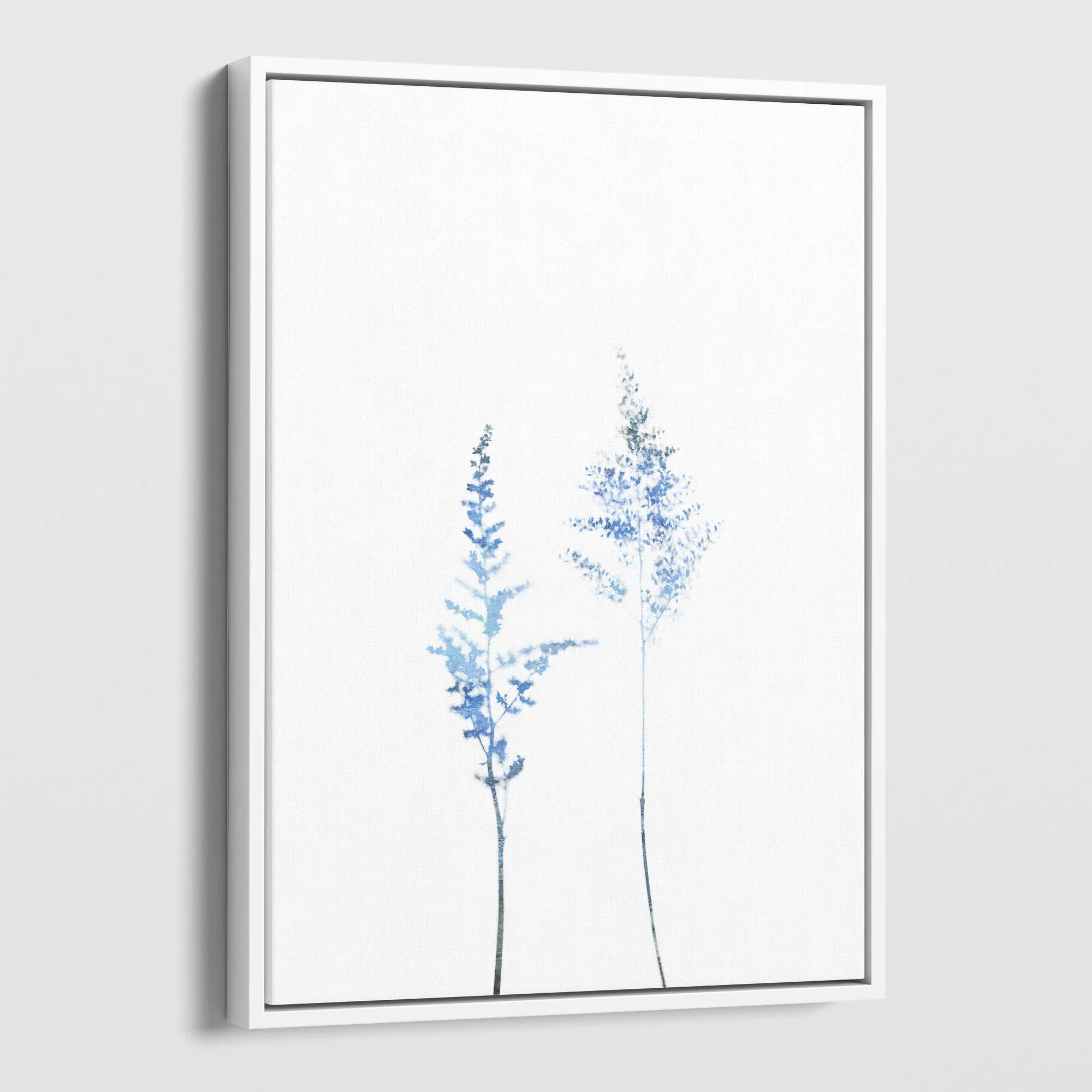 Blue Wildflower