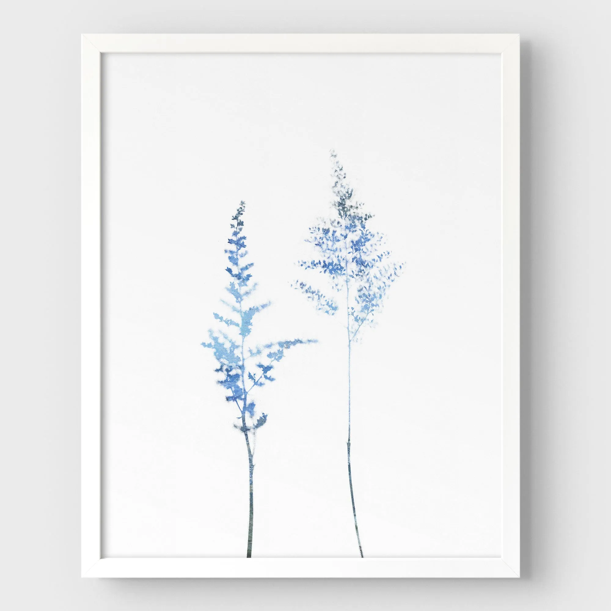 Blue Wildflower
