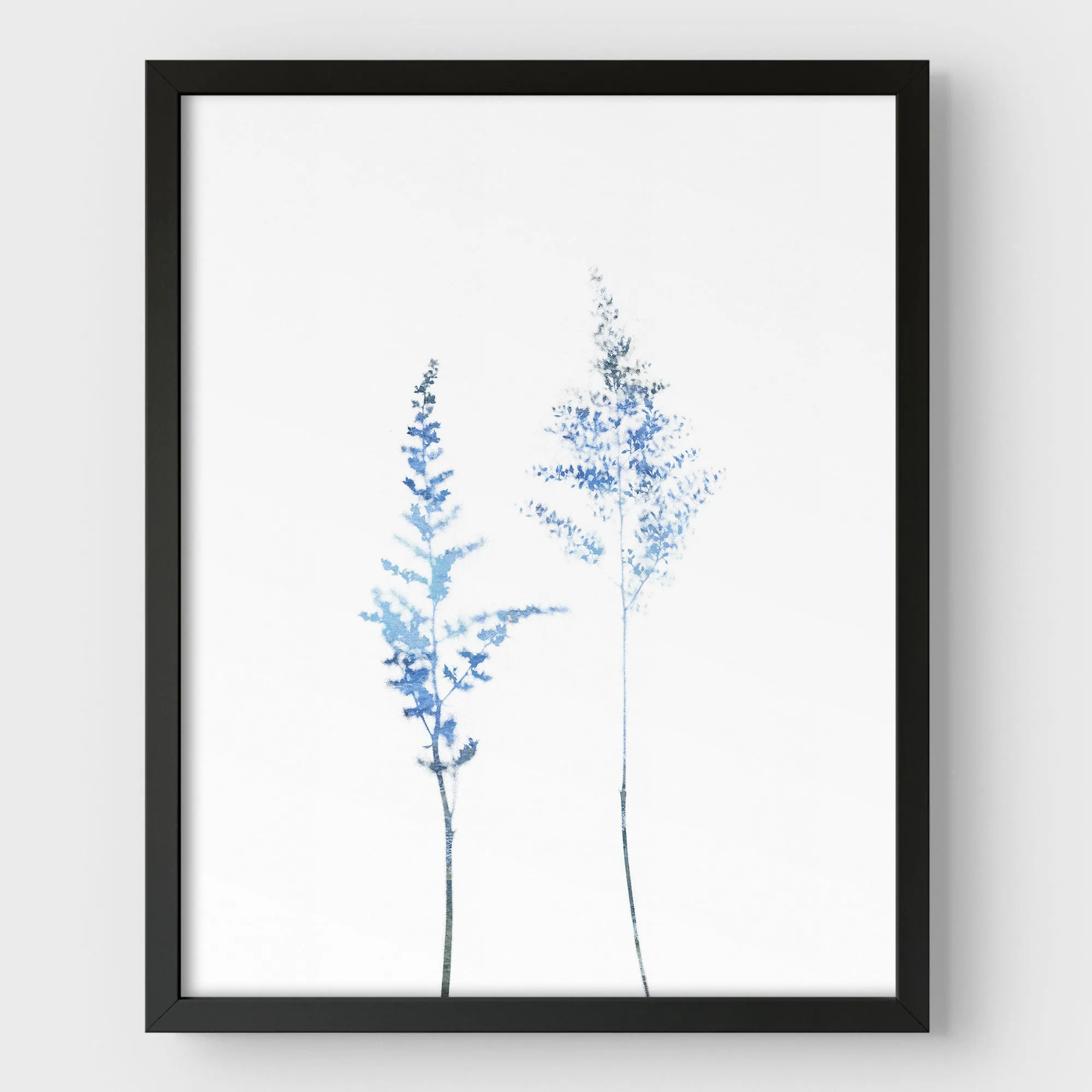 Blue Wildflower