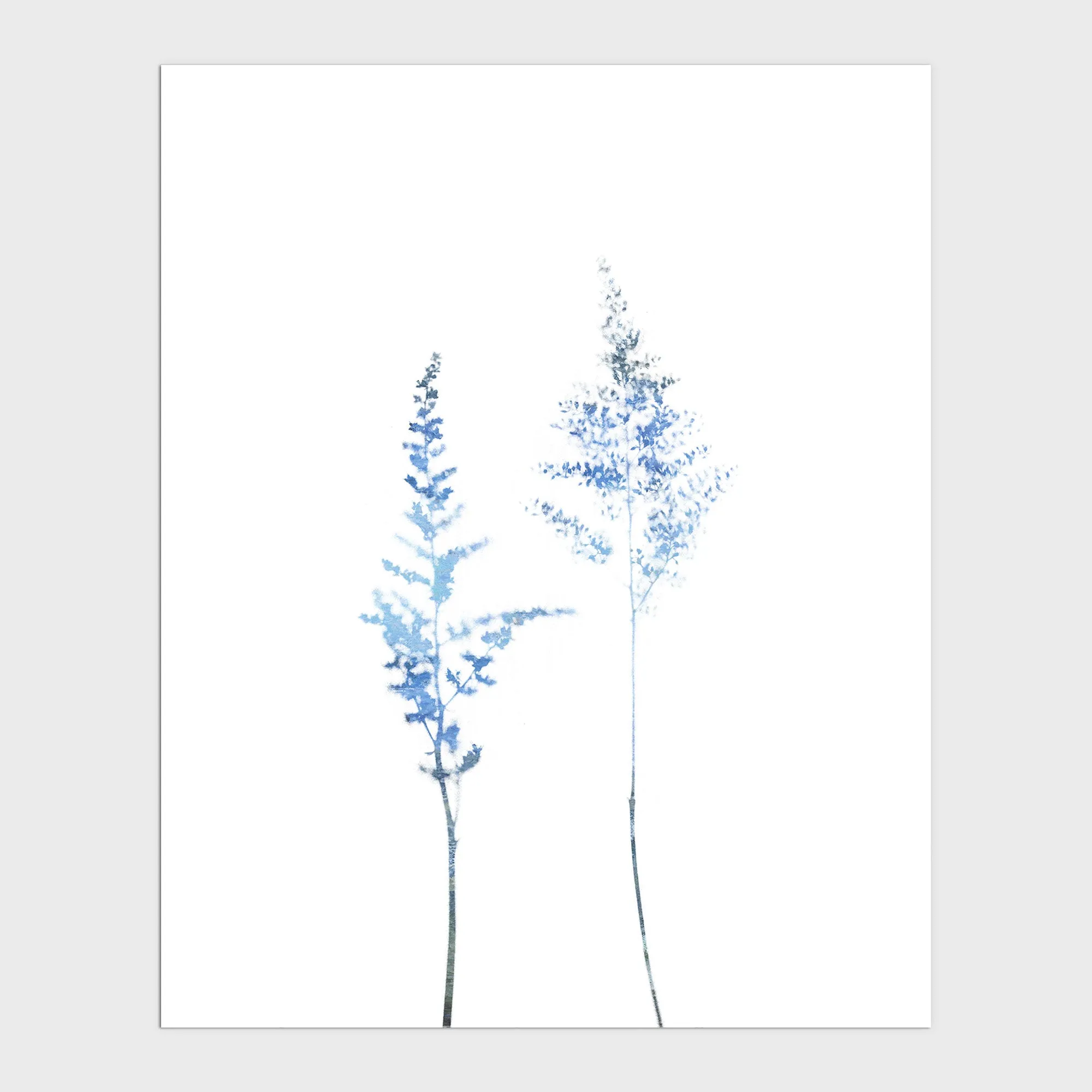 Blue Wildflower