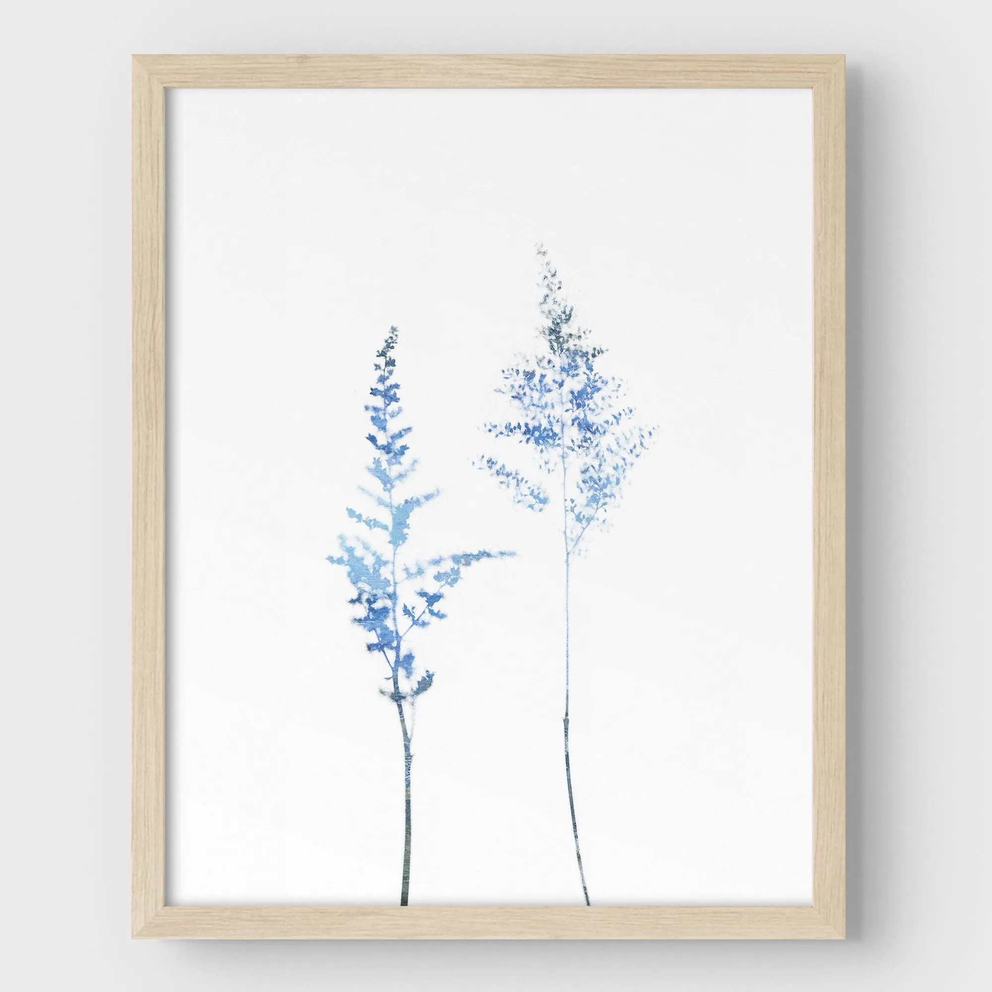 Blue Wildflower