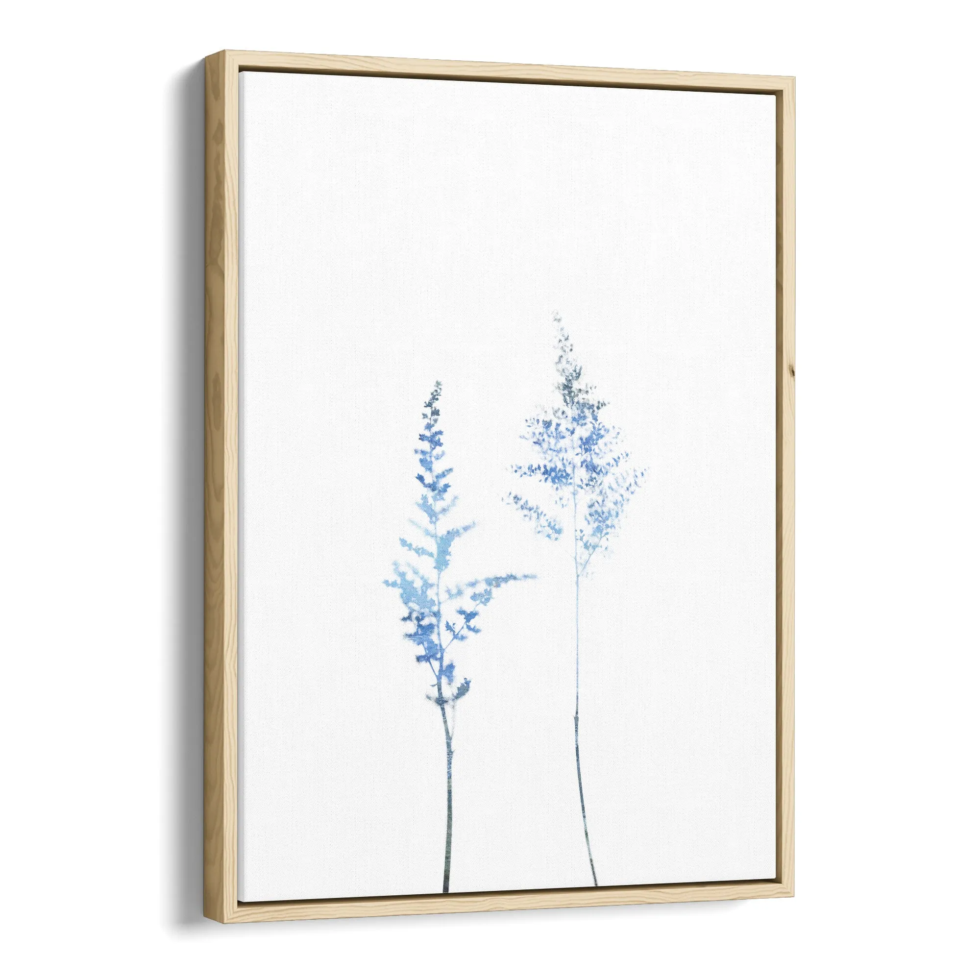 Blue Wildflower
