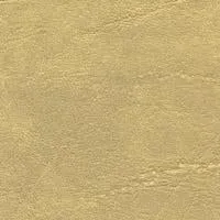 Carrara parchment