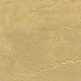 Carrara parchment
