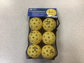 Champion Sport INJECTION MOLDED OUTDOOR PICKLEBALL SET