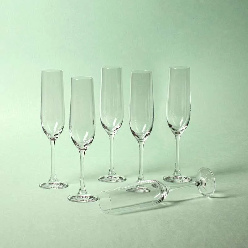 Classic Champagne Flute - Set of Six