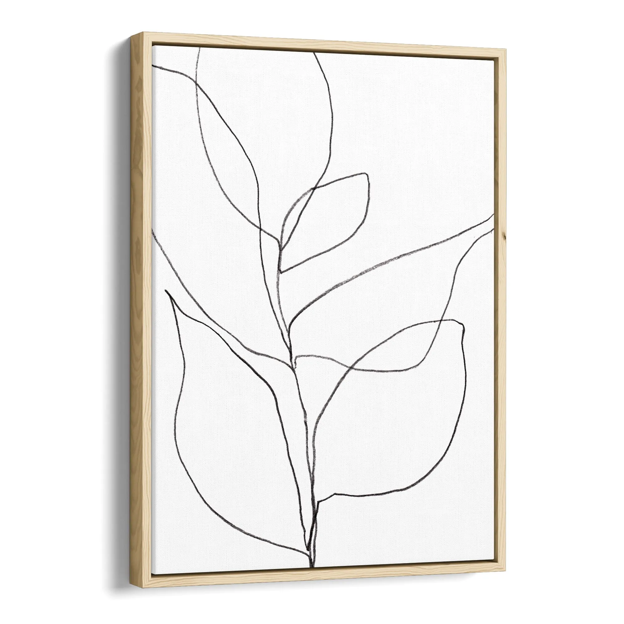 Minimalist Plant
