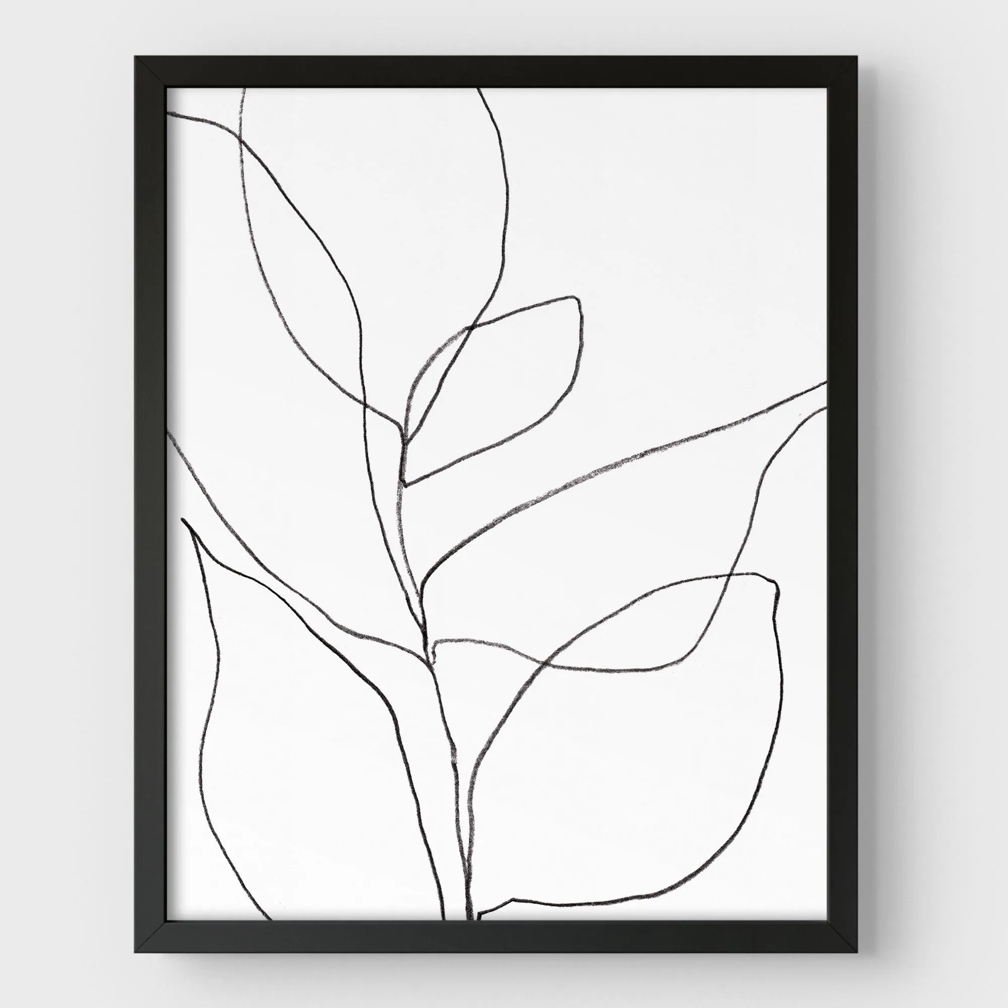 Minimalist Plant