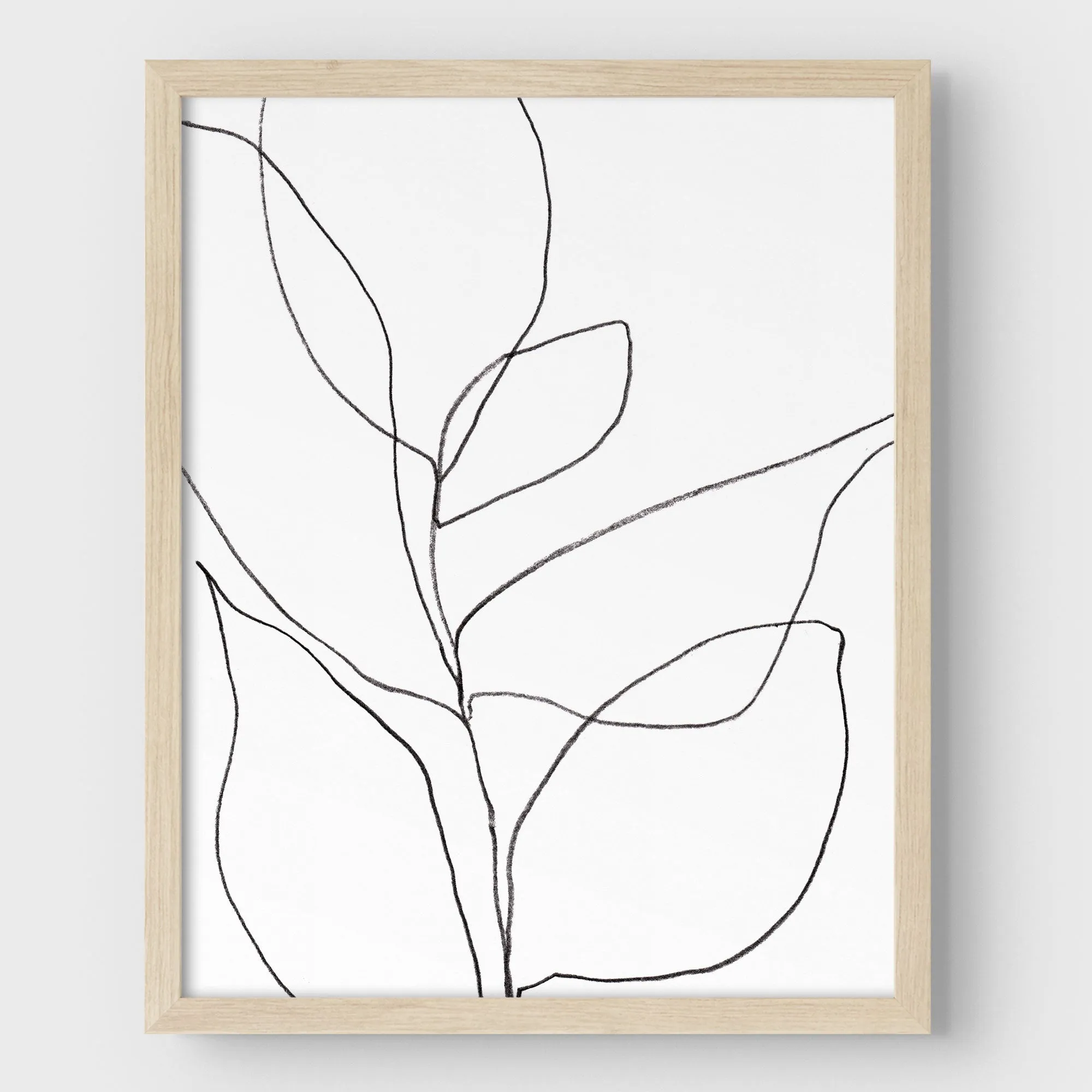 Minimalist Plant