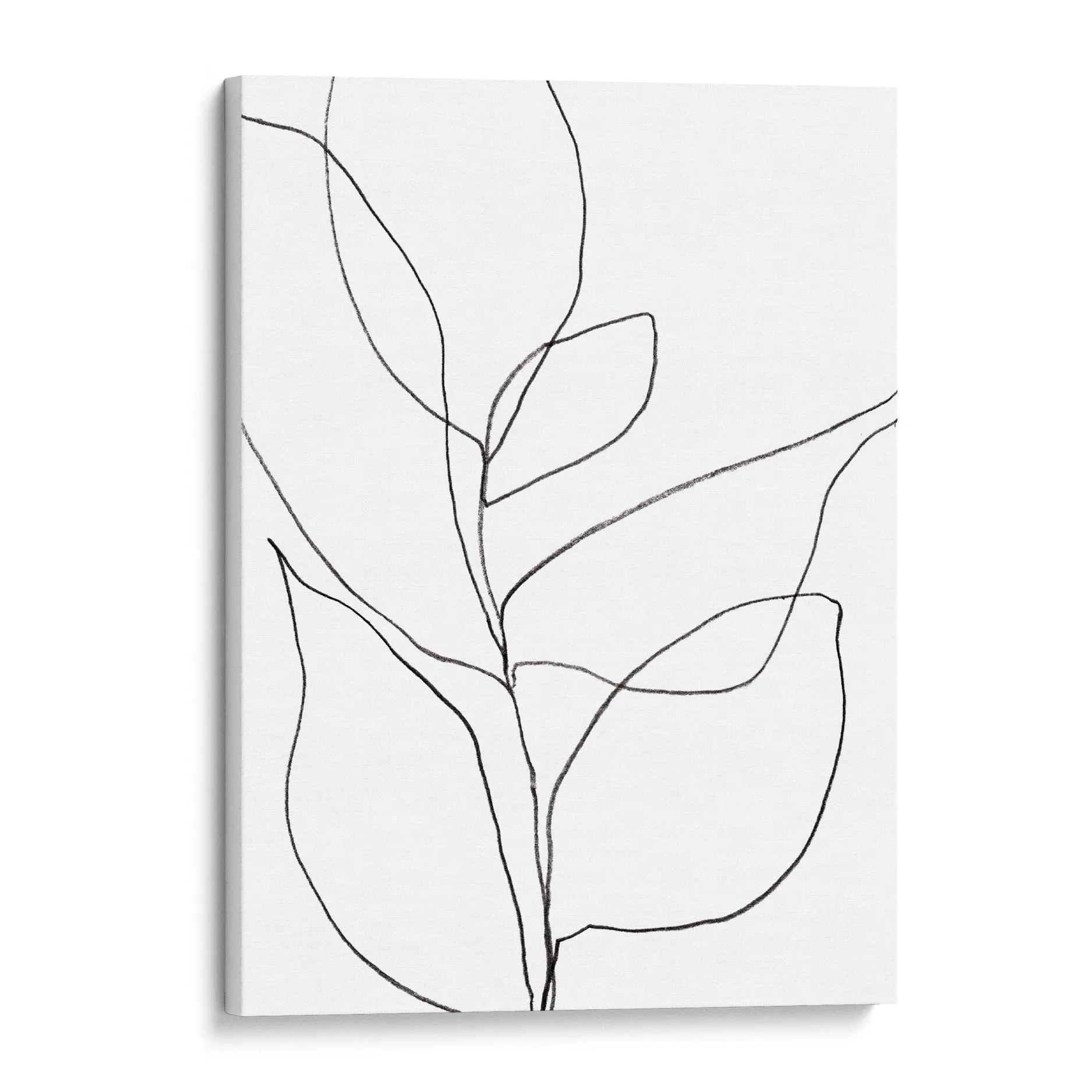 Minimalist Plant