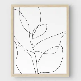 Minimalist Plant