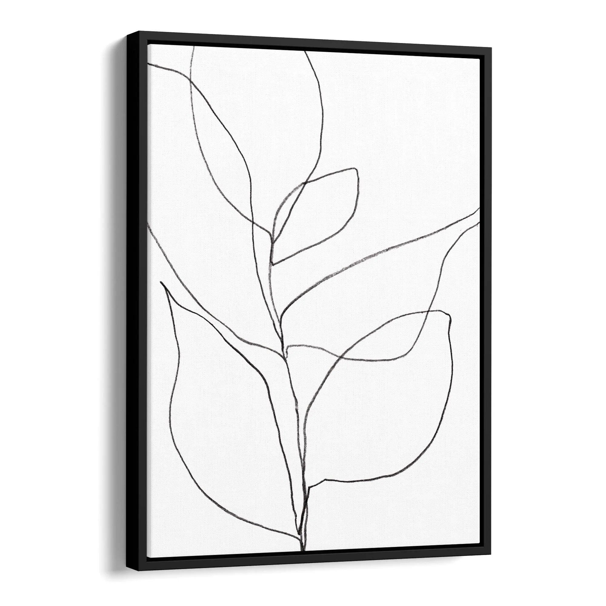 Minimalist Plant