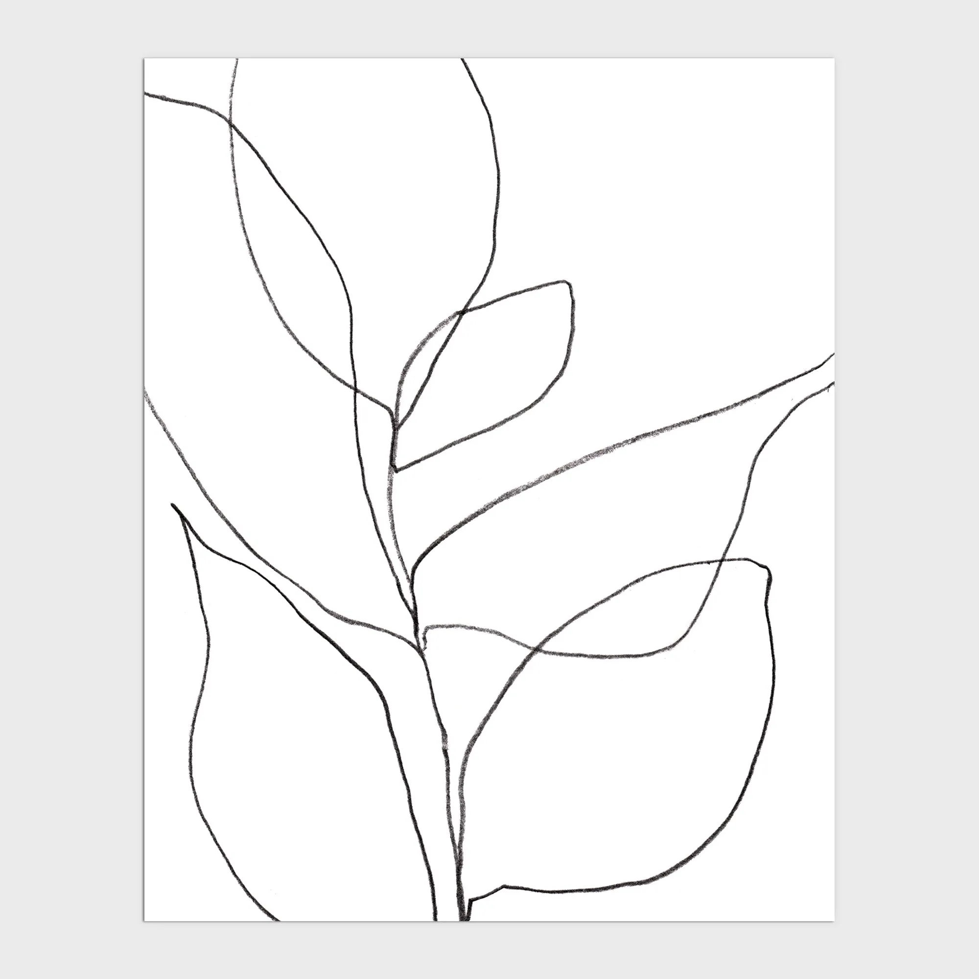 Minimalist Plant