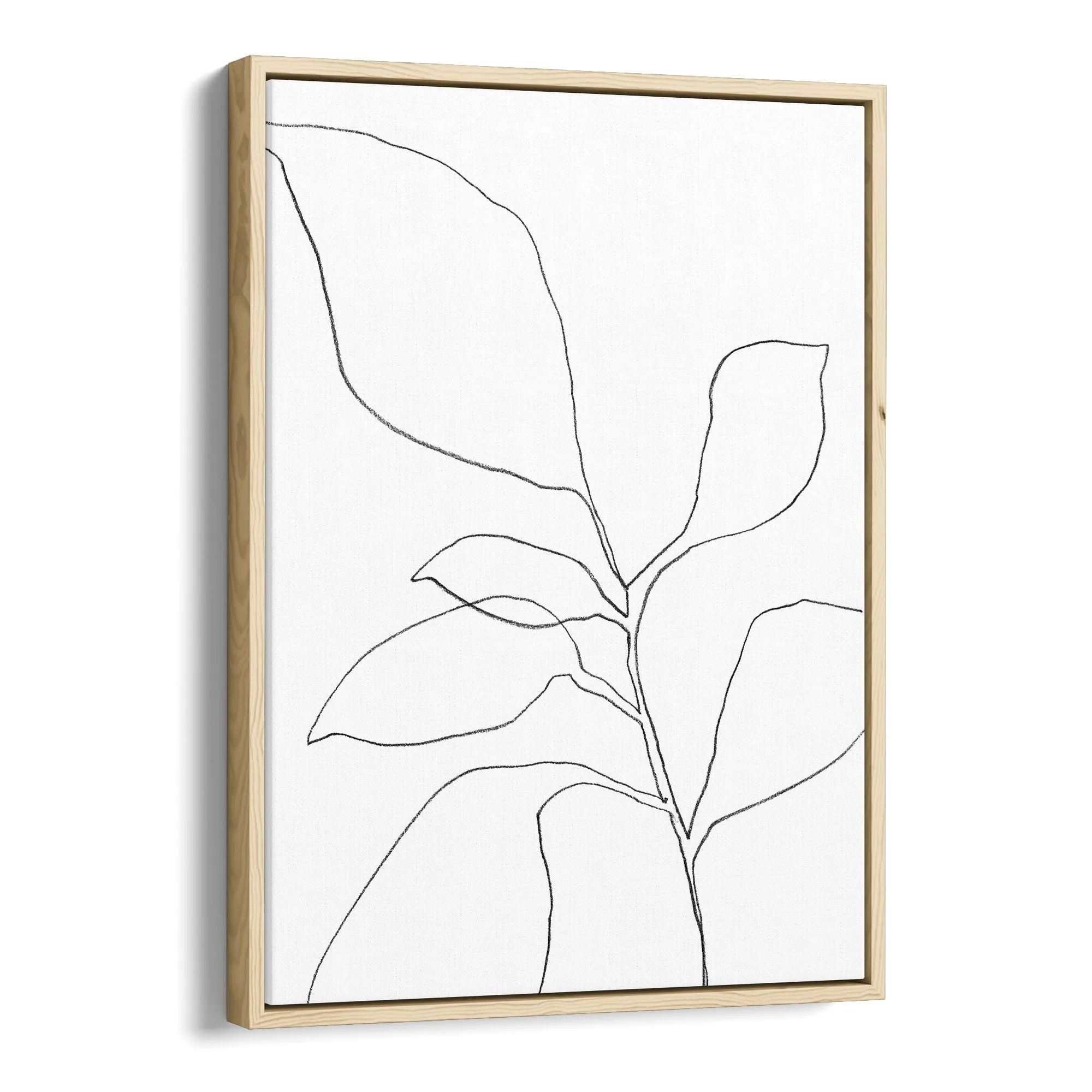 Six Leaf Plant