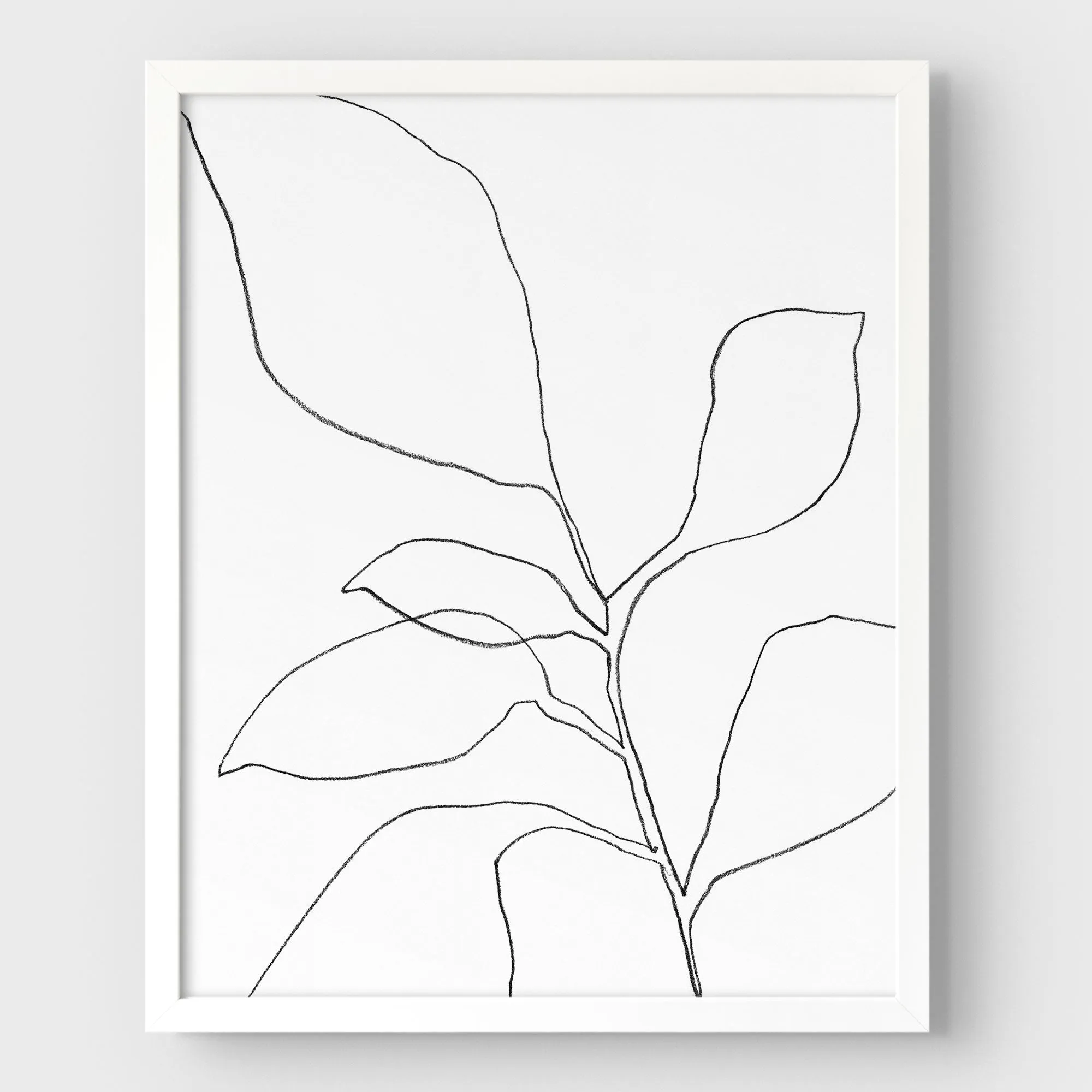 Six Leaf Plant