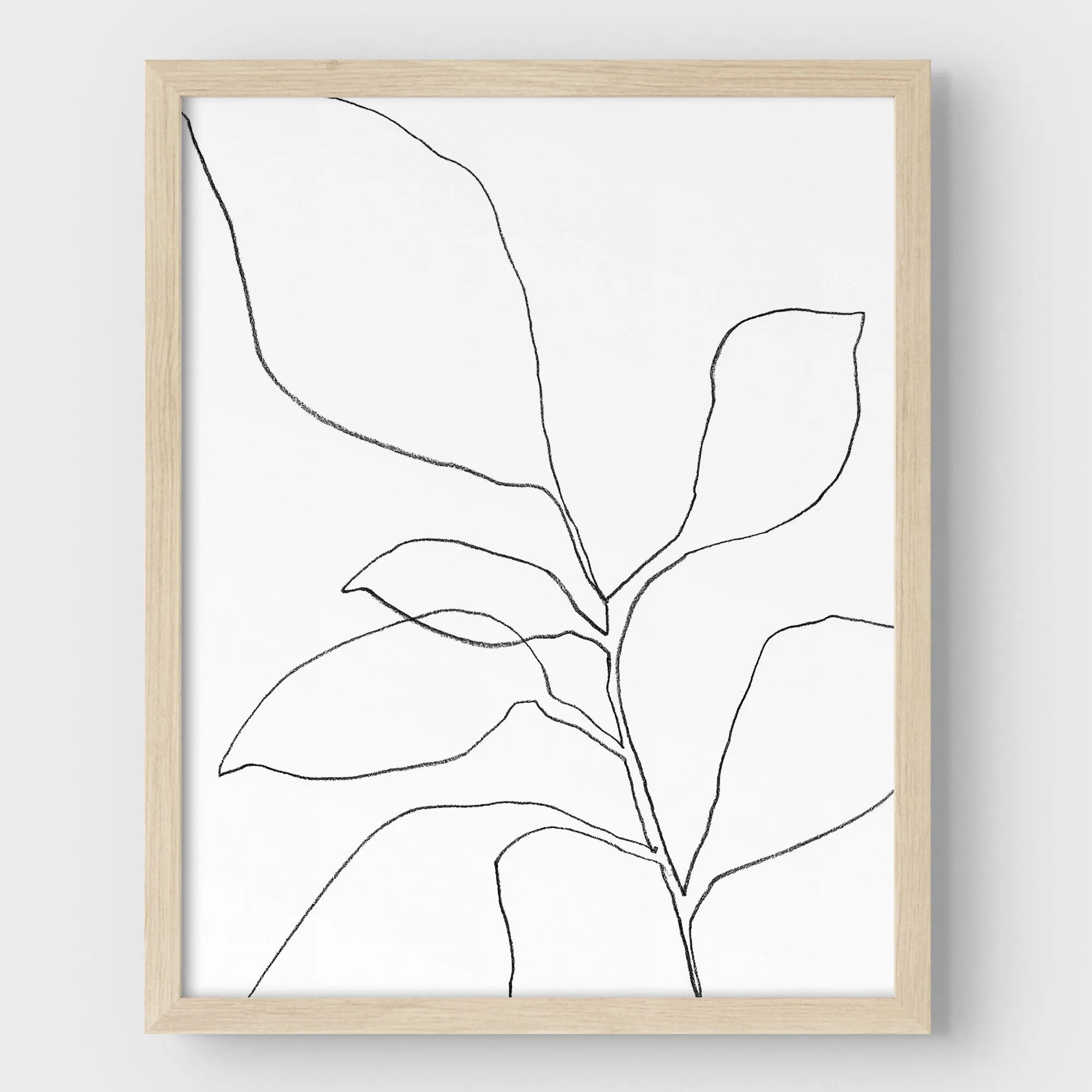 Six Leaf Plant