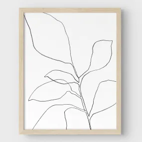 Six Leaf Plant