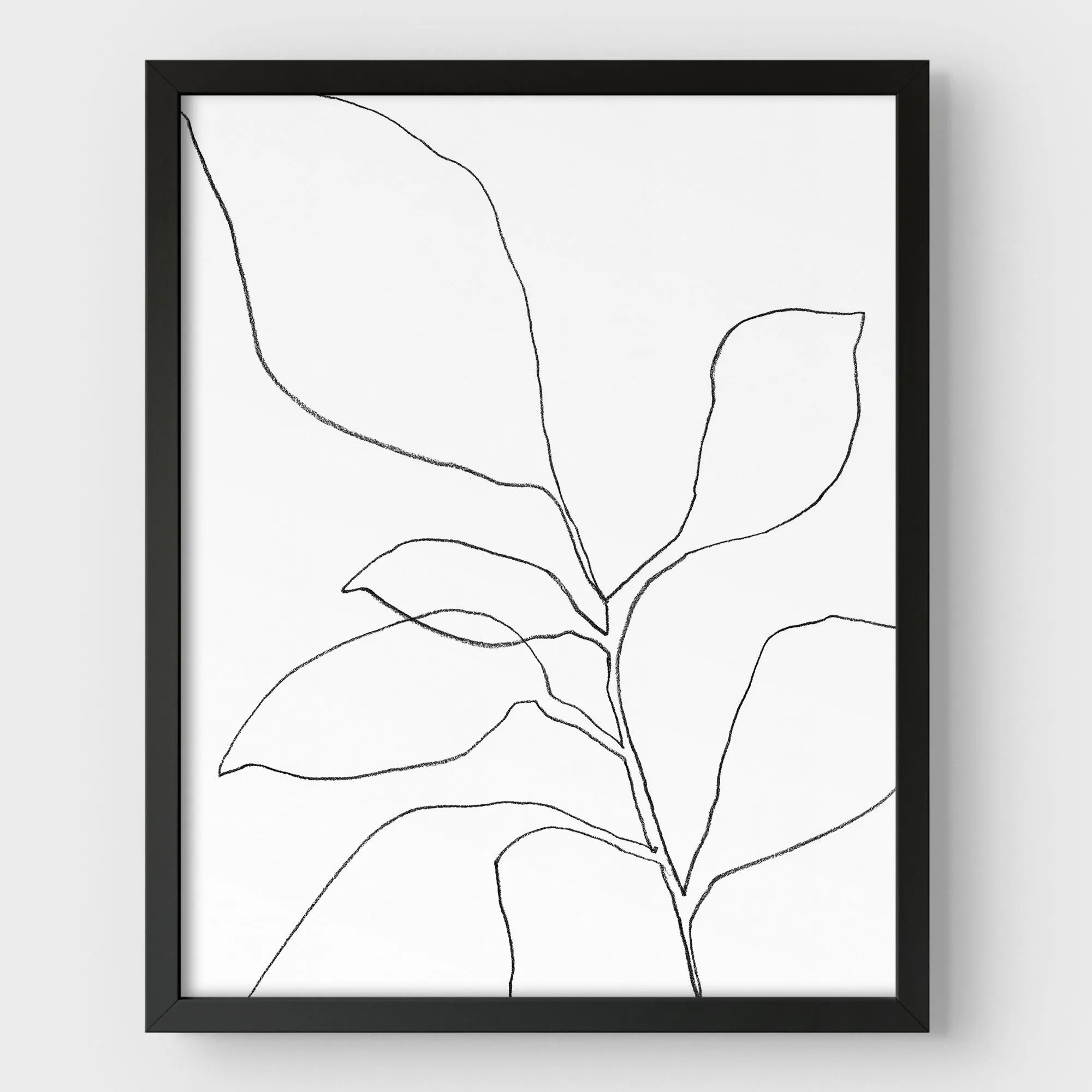 Six Leaf Plant