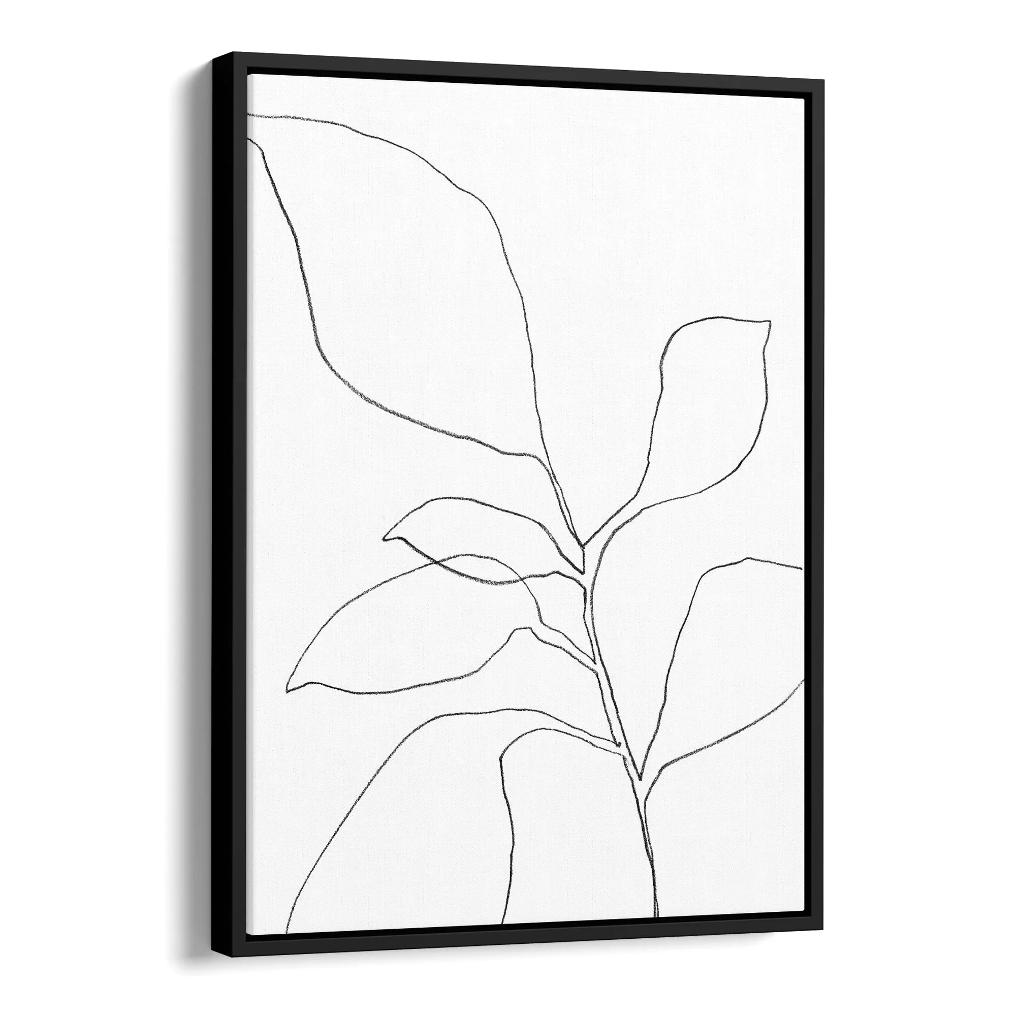 Six Leaf Plant