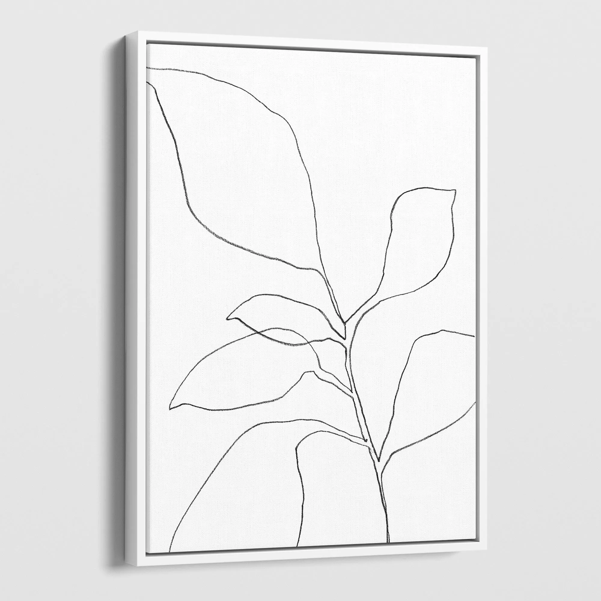 Six Leaf Plant